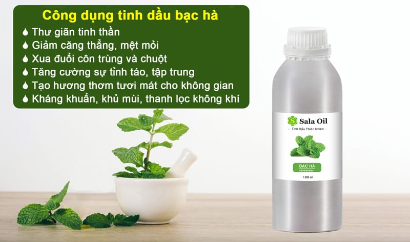 Tinh dầu Bạc Hà giá sỉ nhập khẩu Ấn Độ lợi ích tinh dầu bạc hà