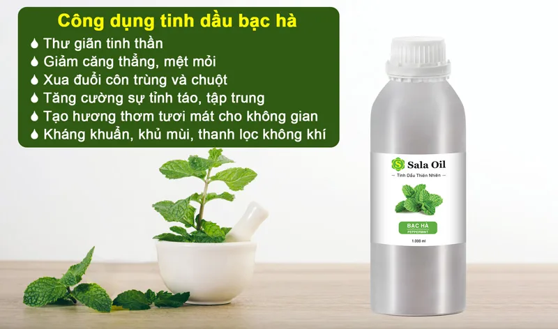 lợi ích tinh dầu bạc hà