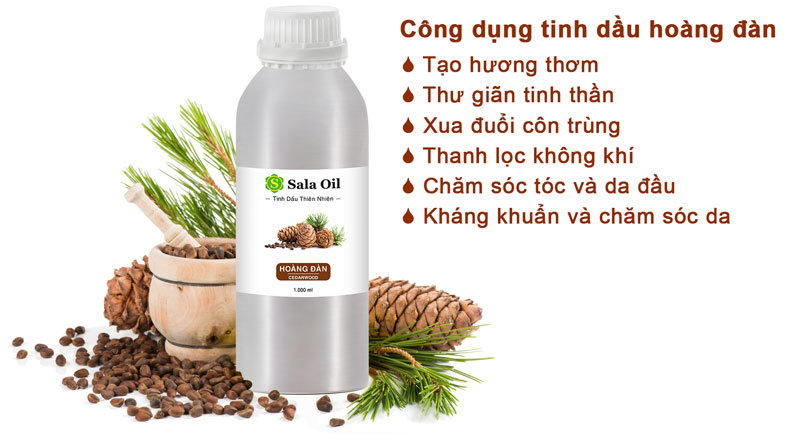 Tinh dầu hoàng đàn giá sỉ công dụng tinh dầu hoàng đàn