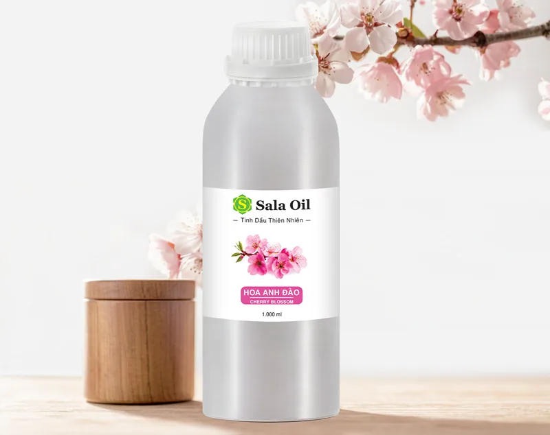 Tinh dầu hoa anh đào giá sỉ lợi ích tinh dầu hoa anh đào