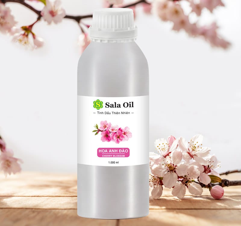 Tinh dầu hoa anh đào giá sỉ tinh dầu hoa anh đào sala oil