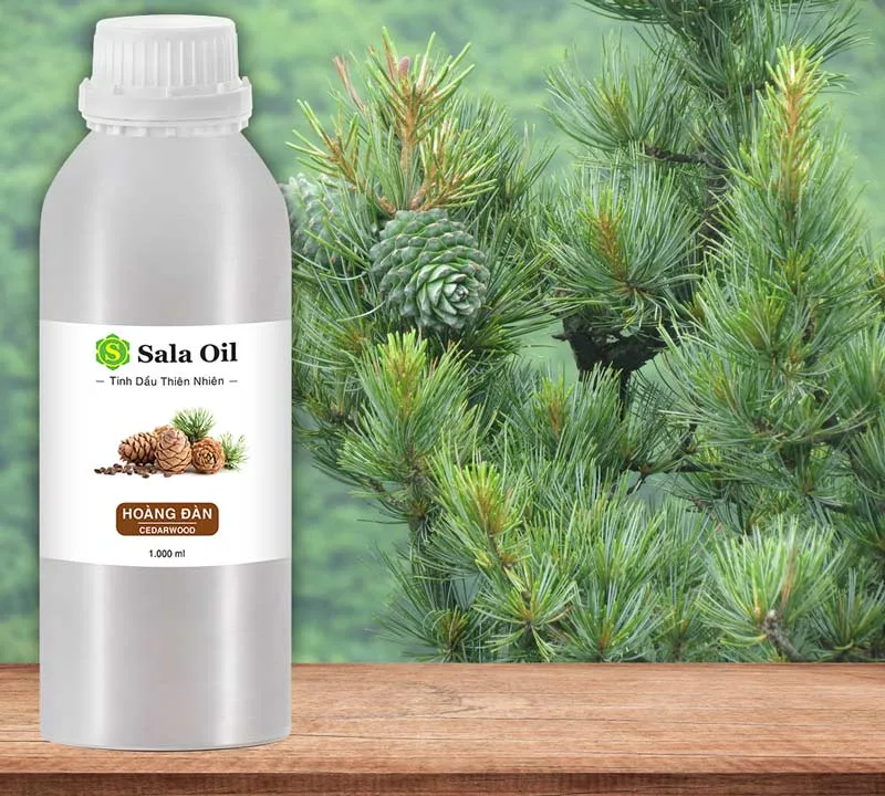tinh dầu hoàng đàn bán lít