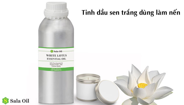 Top 10 tinh dầu làm nến thơm bán chạy tinh dầu làm nến sen trắng