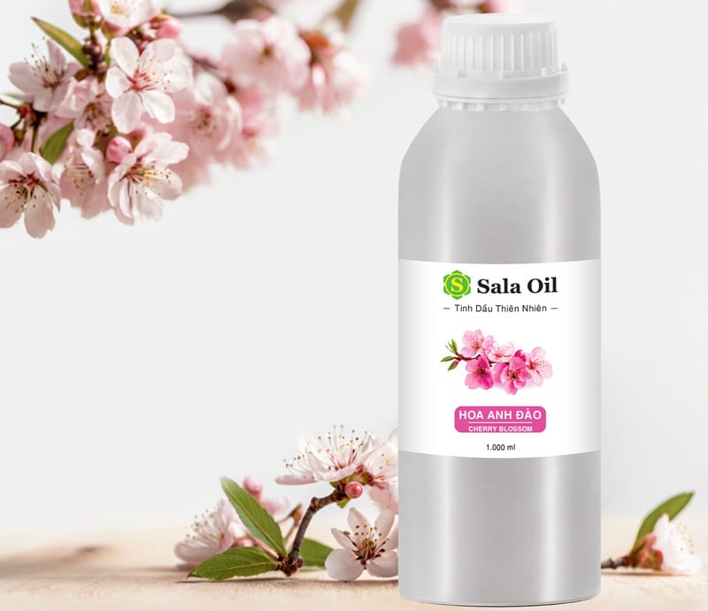 Tinh dầu hoa anh đào giá sỉ ứng dụng tinh dầu hoa anh đào