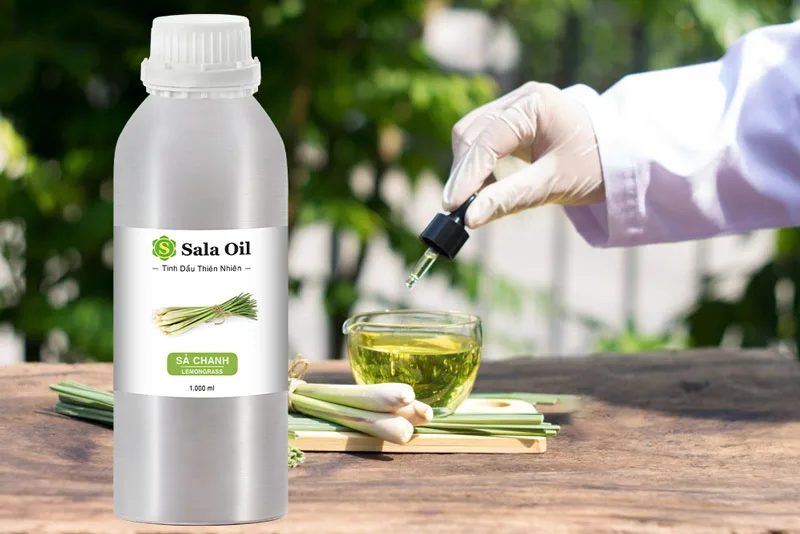 Tinh dầu sả chanh giá sỉ nhập khẩu Ấn Độ cách sử dụng tinh dầu sả chanh
