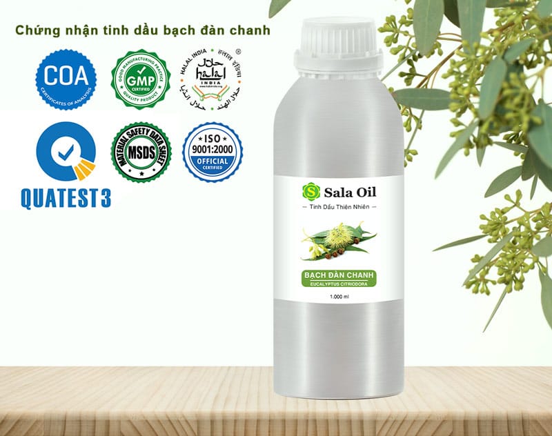 Tinh dầu bạch đàn chanh giá sỉ chứng nhận tinh dầu bạch đàn chanh