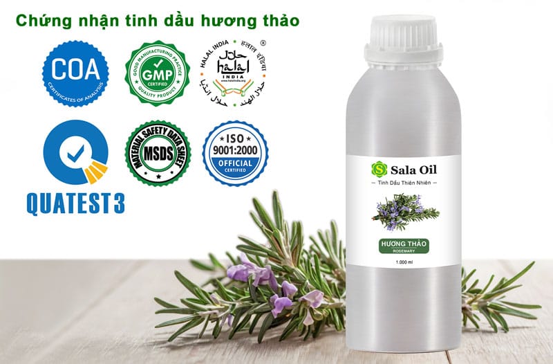 Tinh dầu hương thảo giá sỉ chứng nhận tinh dầu hương thảo