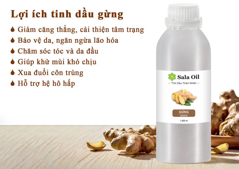 Tinh dầu gừng giá sỉ - Nguyên chất, có kiểm định chất lượng lợi ích tinh dầu gừng