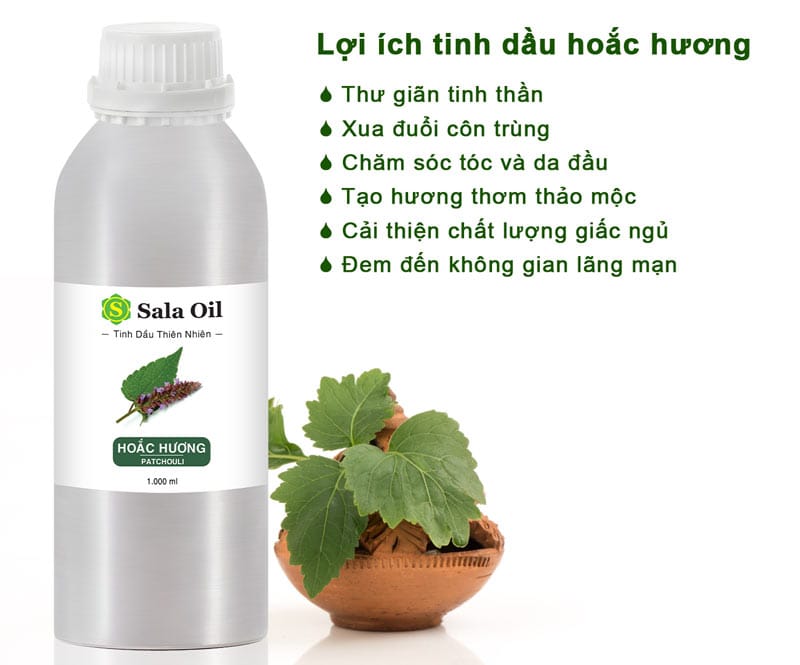 Tinh dầu hoắc hương giá sỉ - Nguyên chất, tự nhiên lợi ích tinh dầu hoắc hương