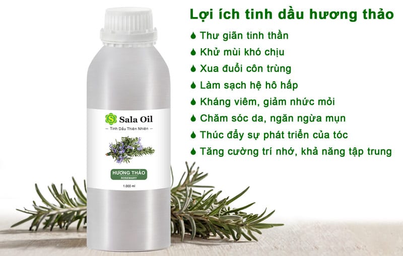 Tinh dầu hương thảo giá sỉ lợi ích tinh dầu hương thảo