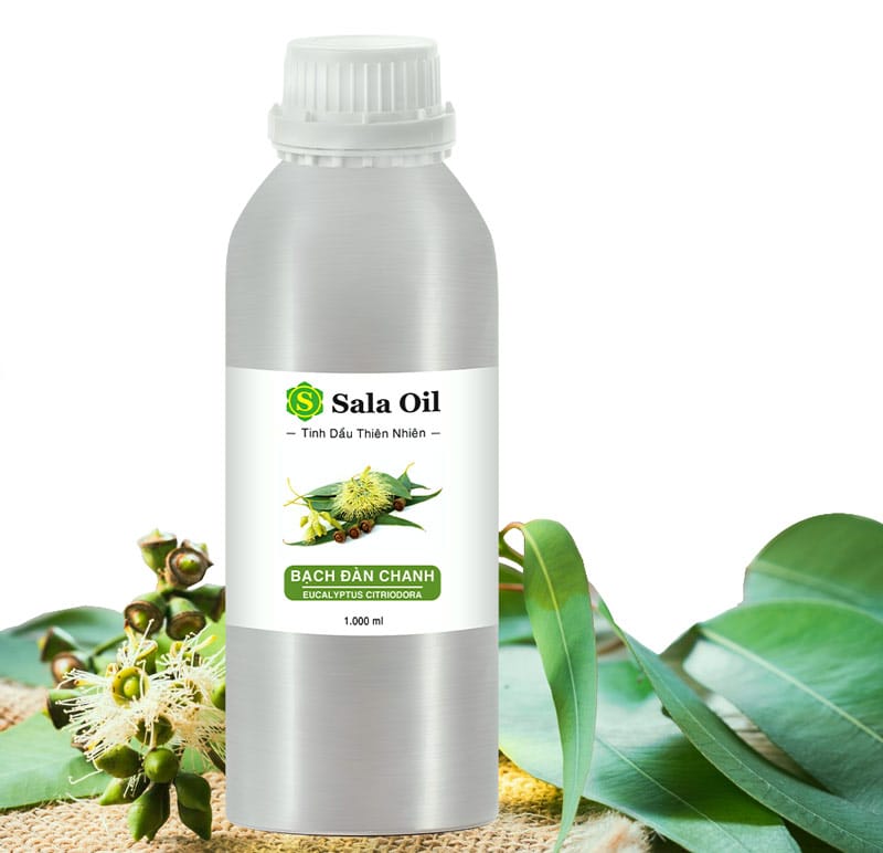 Tinh dầu bạch đàn chanh giá sỉ tinh dầu bạch đàn chanh giá sỉ