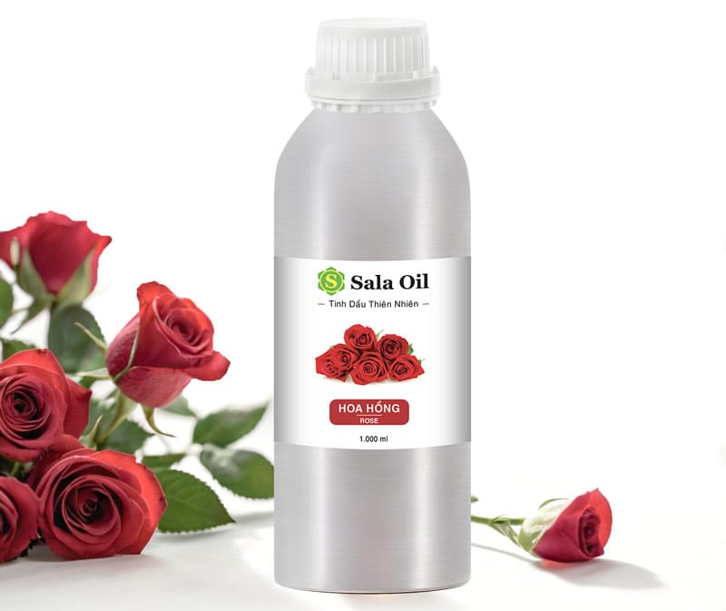 Tinh dầu hoa hồng giá sỉ tinh dầu hoa hồng giá sỉ