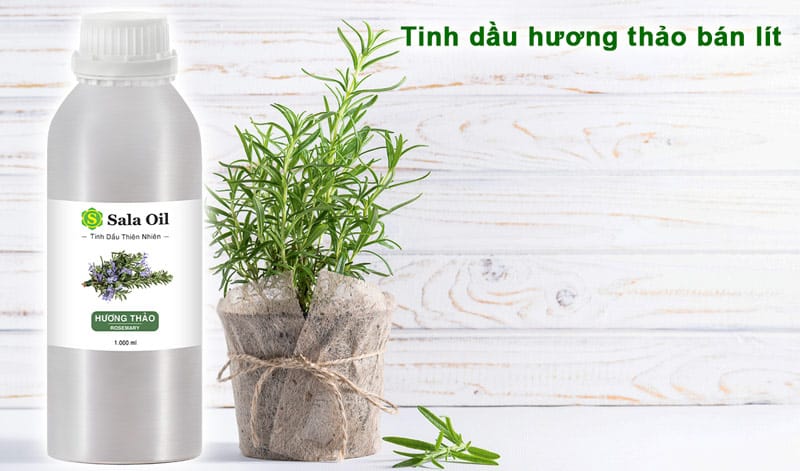 Tinh dầu hương thảo giá sỉ tinh dầu hương thảo giá sỉ bán lít