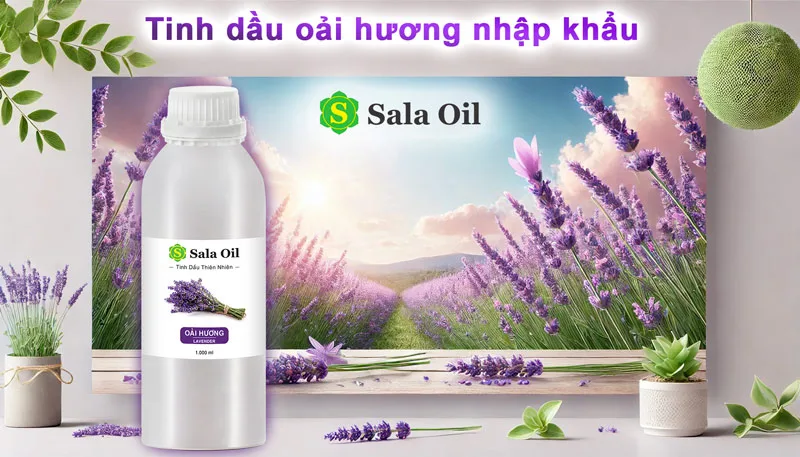 Tinh dầu oải hương giá sỉ tinh dầu oải hương nhập khẩu