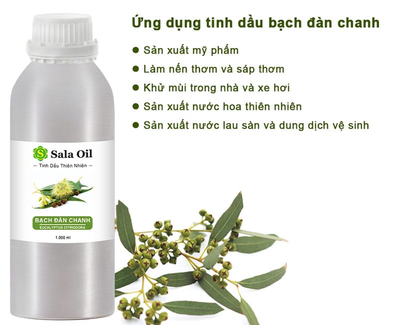 Tinh dầu bạch đàn chanh giá sỉ ứng dụng tinh dầu bạch đàn chanh