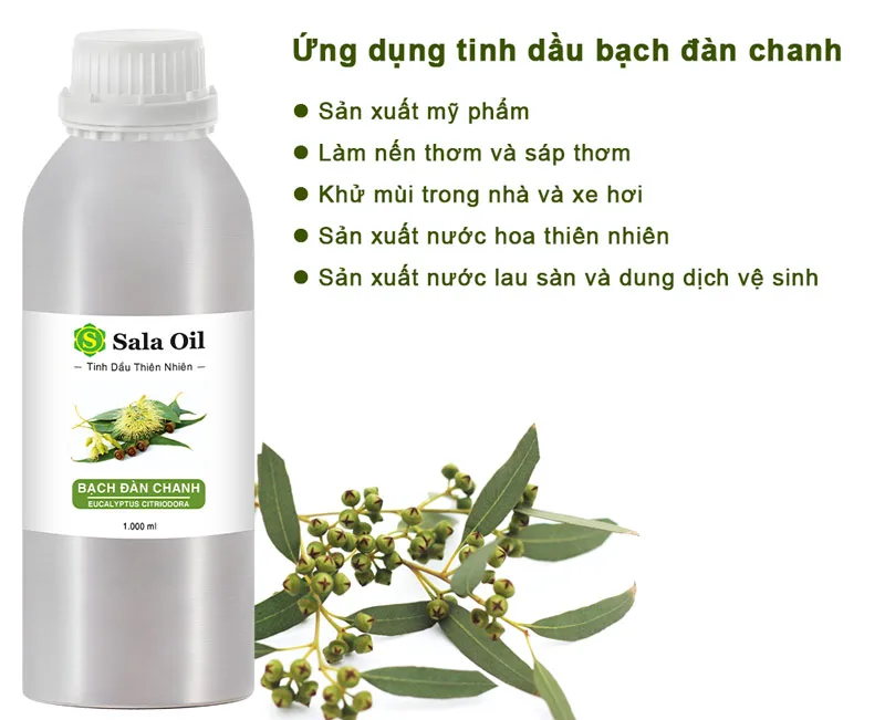 Tinh dầu bạch đàn chanh giá sỉ ứng dụng tinh dầu bạch đàn chanh