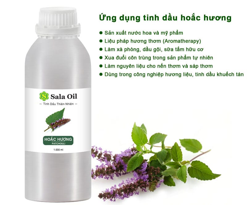 Tinh dầu hoắc hương giá sỉ - Nguyên chất, tự nhiên ứng dụng tinh dầu hoắc hương