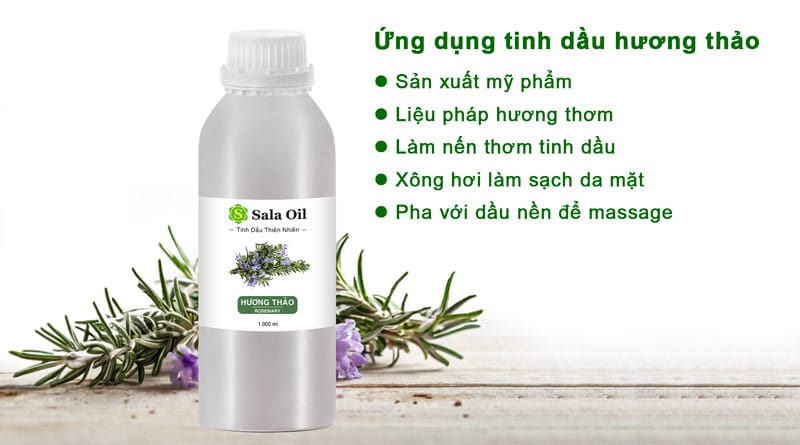 Tinh dầu hương thảo giá sỉ ứng dụng tinh dầu hương thảo