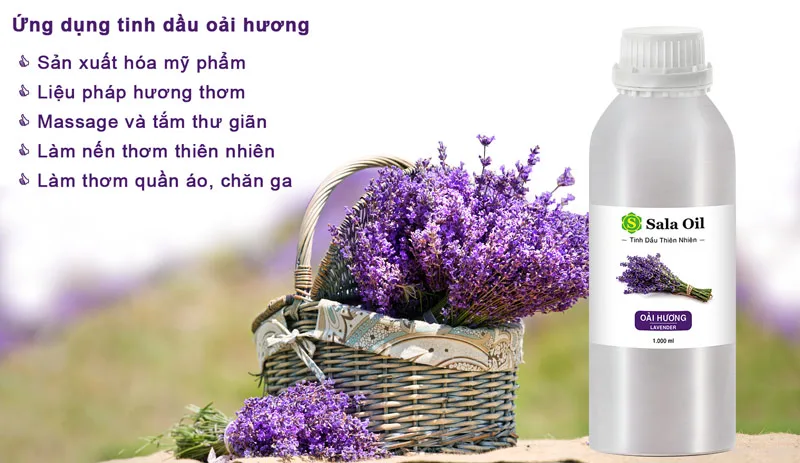 Tinh dầu oải hương giá sỉ ứng dụng tinh dầu oải hương