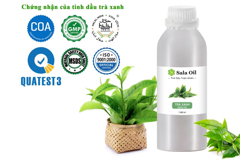 Tinh dầu trà xanh giá sỉ chứng nhận tinh dầu trà xanh