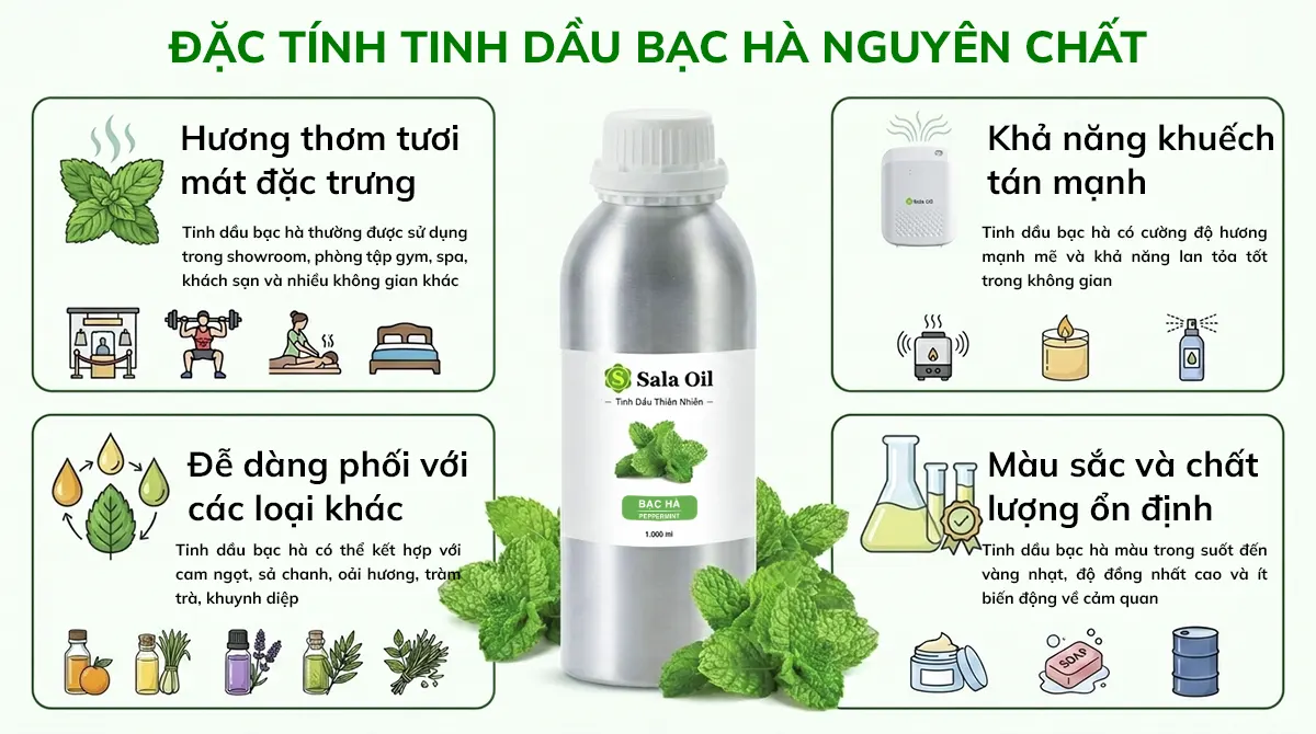 Những điểm đặc trưng tinh dầu bạc hà nguyên chất