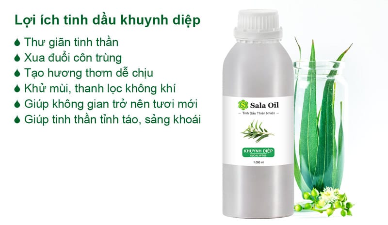 Tinh dầu khuynh diệp giá sỉ lợi ích tinh dầu khuynh diệp