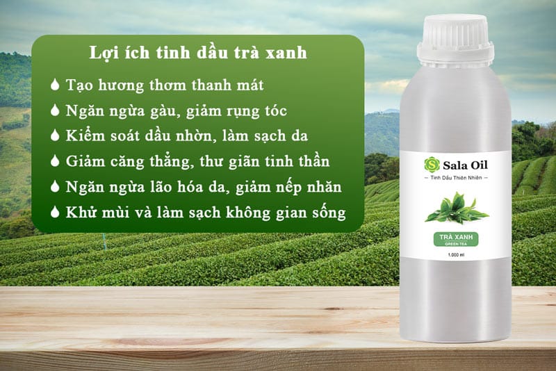 Tinh dầu trà xanh giá sỉ lợi ích tinh dầu trà xanh