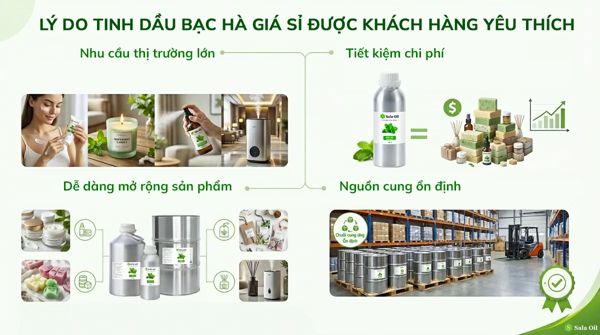 Tinh dầu bạc hà bán sỉ có nhiều điểm ưu việt