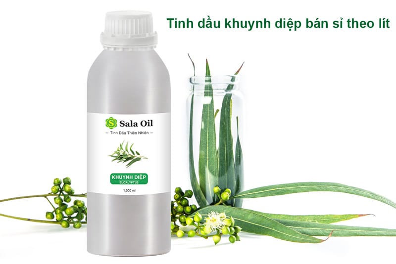 Tinh dầu khuynh diệp giá sỉ tinh dầu khuynh diệp giá sỉ