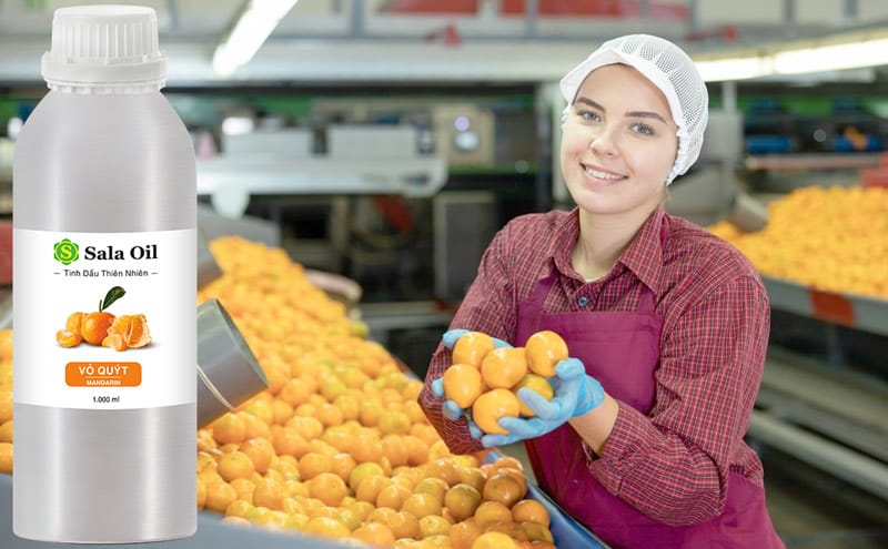 Tinh dầu quýt giá sỉ tinh dầu quýt nguyên chất
