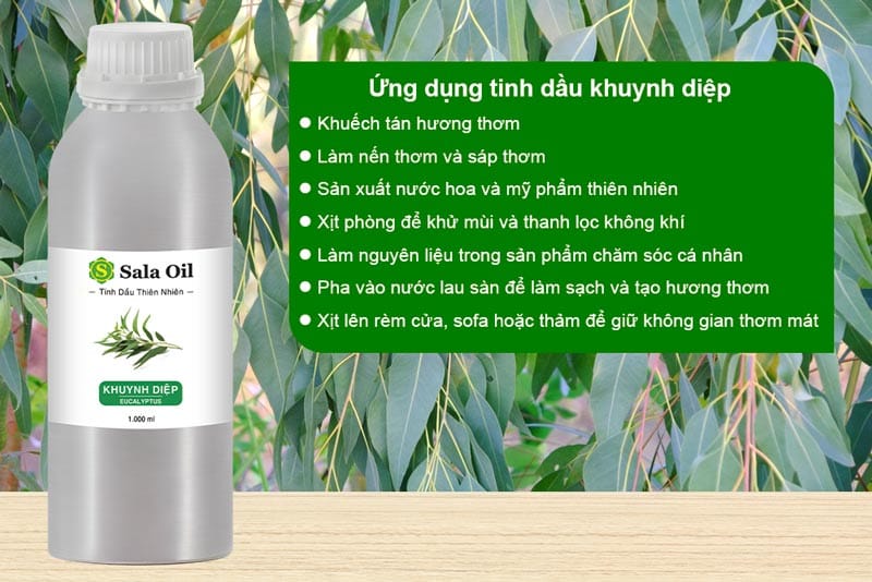 Tinh dầu khuynh diệp giá sỉ ứng dụng tinh dầu khuynh diệp
