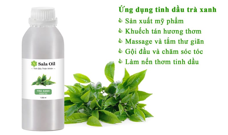 Tinh dầu trà xanh giá sỉ ứng dụng tinh dầu trà xanh
