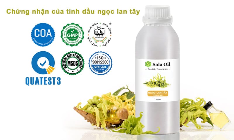 Tinh dầu ngọc lan tây giá sỉ chứng nhận tinh dầu ngọc lan tây