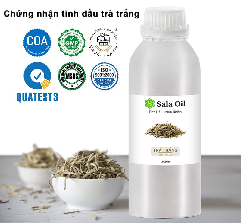 Tinh dầu trà trắng giá sỉ chứng nhận tinh dầu trà trắng