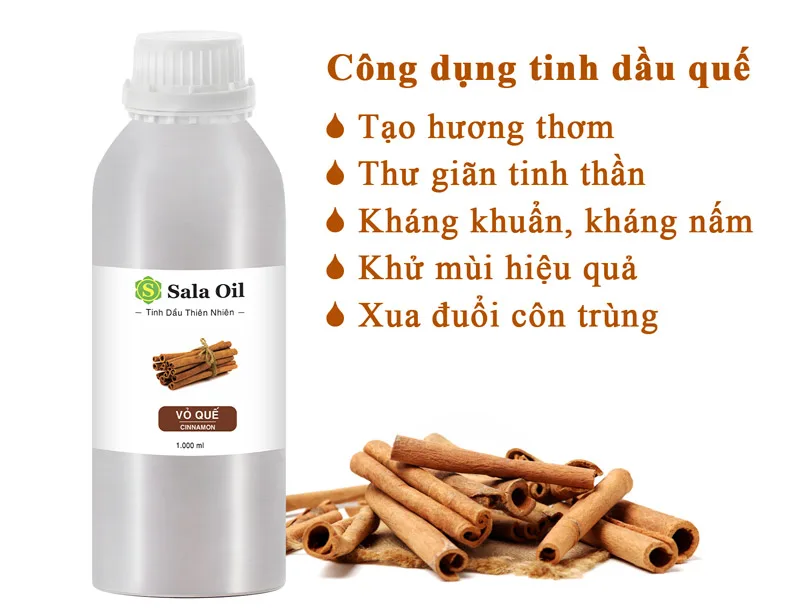 Tinh dầu quế giá sỉ - Nhập khẩu chính ngạch từ Ấn Độ công dụng tinh dầu quế