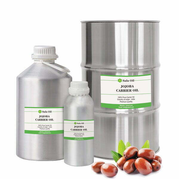 dầu jojoba giá sỉ dầu jojoba bán sỉ
