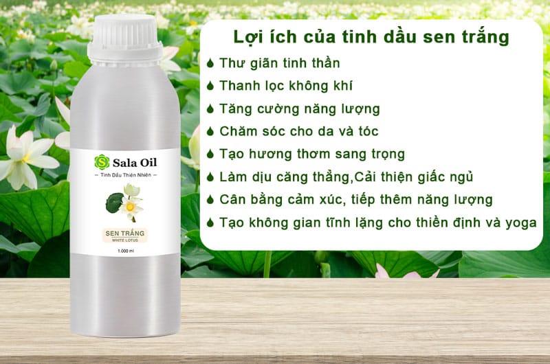 Tinh dầu sen trắng giá sỉ lợi ích của tinh dầu sen trắng