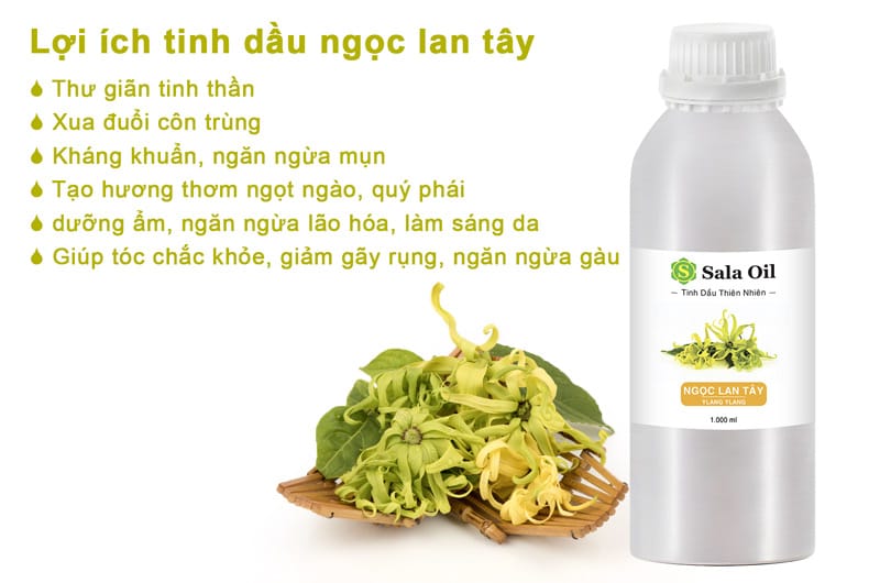 Tinh dầu ngọc lan tây giá sỉ lợi ích tinh dầu ngọc lan tây