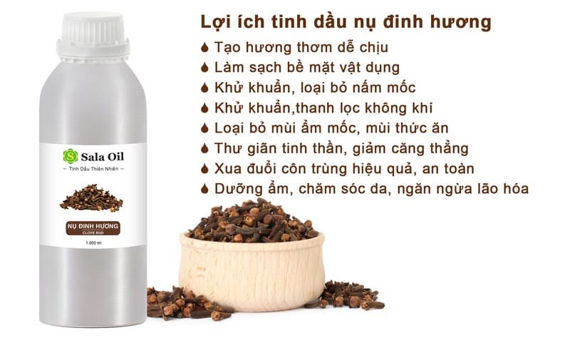 Tinh dầu đinh hương giá sỉ lợi ích tinh dầu đinh hương