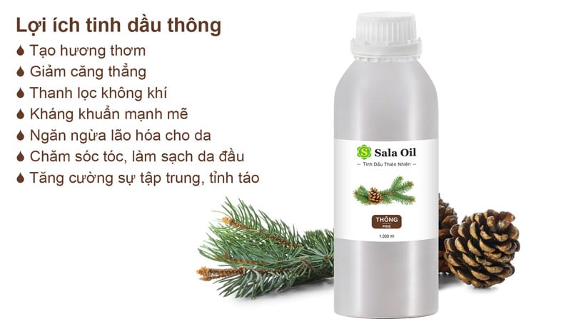 Tinh dầu thông giá sỉ lợi ích tinh dầu thông