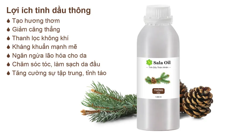 Tinh dầu thông giá sỉ lợi ích tinh dầu thông