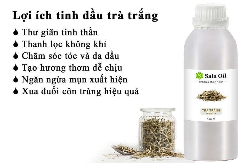Tinh dầu trà trắng giá sỉ lợi ích tinh dầu trà trắng