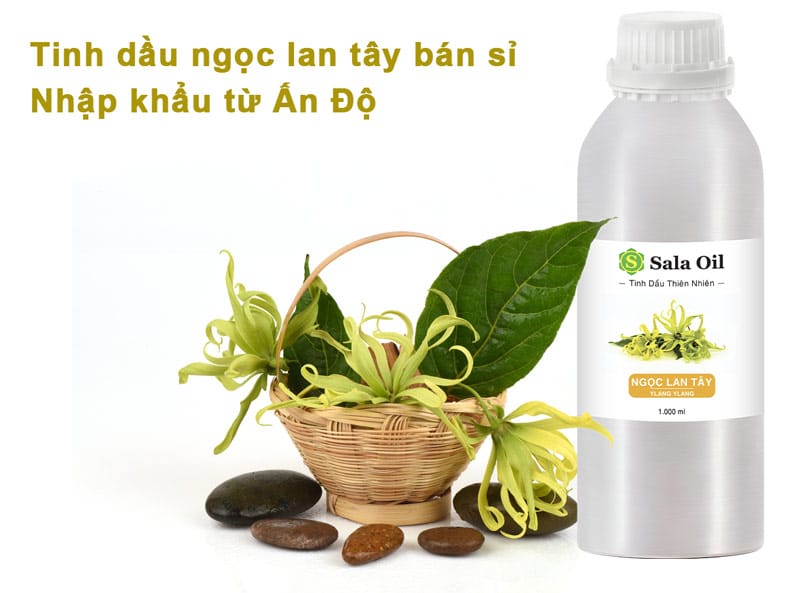 Tinh dầu ngọc lan tây giá sỉ tinh dầu ngọc lan tây bán lít