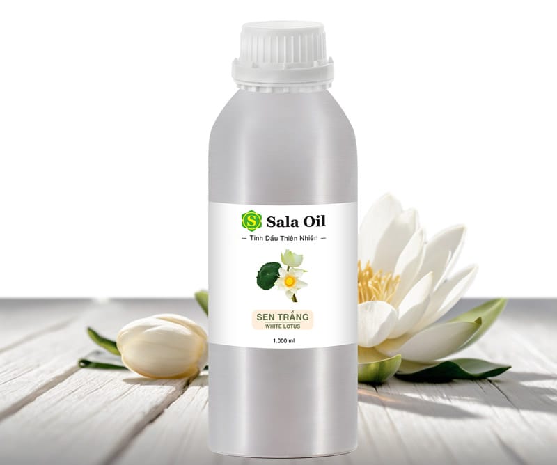 Tinh dầu sen trắng giá sỉ tinh dầu sen trắng bán lít