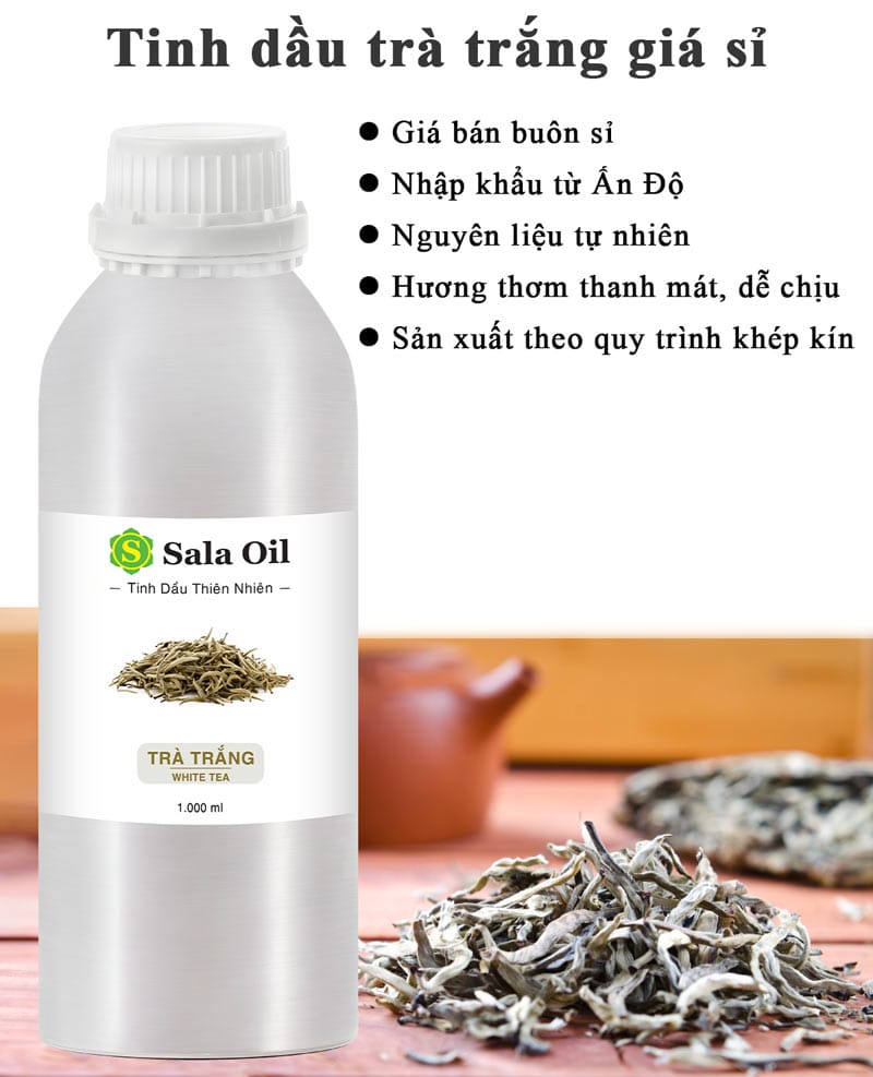 Tinh dầu trà trắng giá sỉ tinh dầu trà trắng bán sỉ