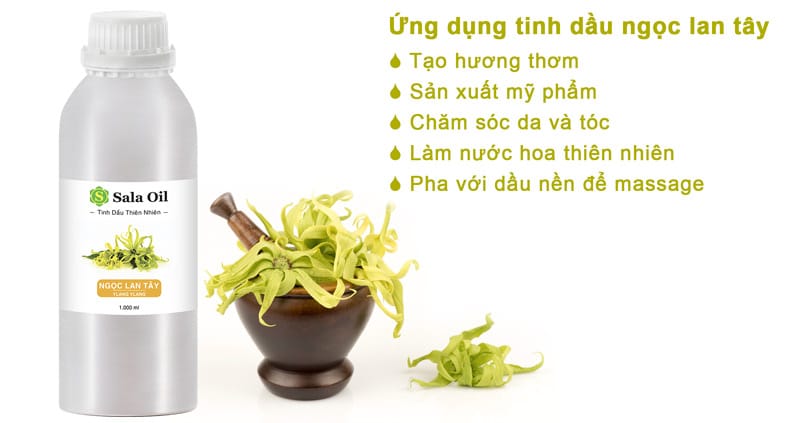 Tinh dầu ngọc lan tây giá sỉ ứng dụng tinh dầu ngọc lan tây