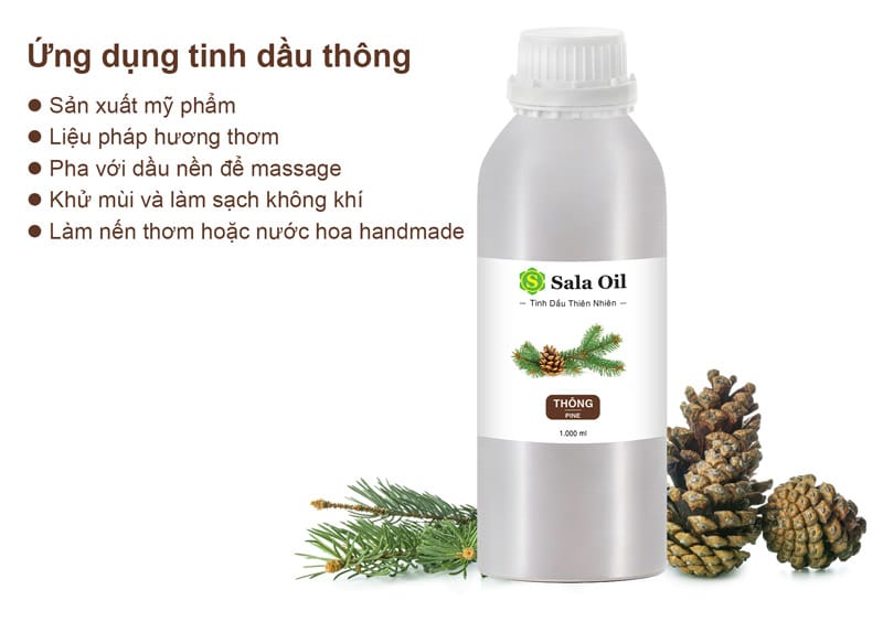 Tinh dầu thông giá sỉ ứng dụng tinh dầu thông bán buôn