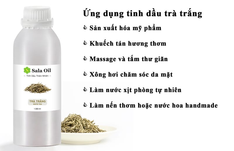 Tinh dầu trà trắng giá sỉ ứng dụng tinh dầu trà trắng