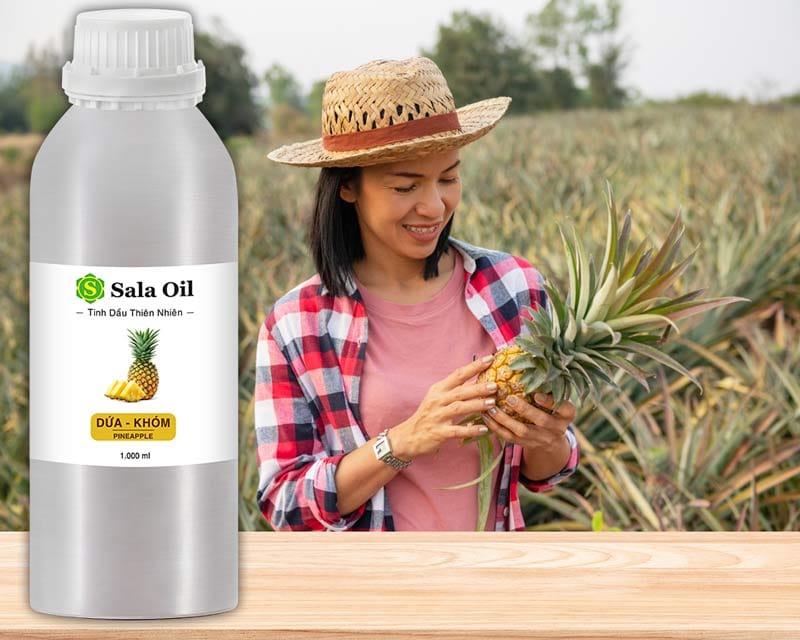 Tinh dầu dứa/ khóm giá sỉ tinh dầu dứa khóm sala oil