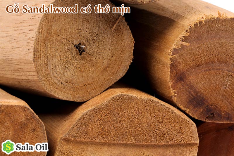 Sandalwood là gì? Dùng như thế nào? sandalwood có thớ gỗ mịn